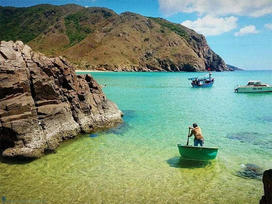 Thời gian khởi hành và kết thúc dự kiến của một Tour Quy Nhơn 1 Ngày trọn gói là mấy giờ?