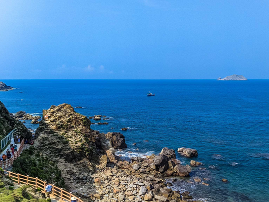 Thời Điểm Tốt Nhất Trong Năm Để Tham Gia Tour Quy Nhơn 1 Ngày Đi Biển Là Khi Nào?