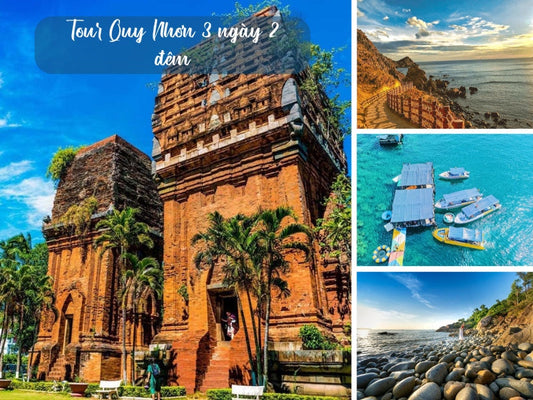 Có Những Loại Hình Tour Du Lịch Quy Nhơn 1 Ngày Nào?