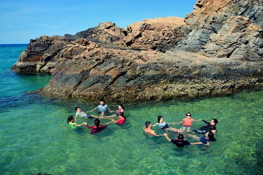 Làm thế nào để đặt Tour Quy Nhơn 1 Ngày uy tín và chất lượng cao?