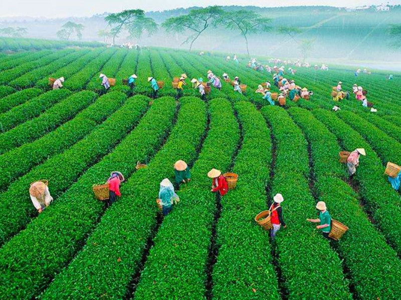 Tour nghỉ lễ 30/4 & 1/5 ở Lâm Đồng