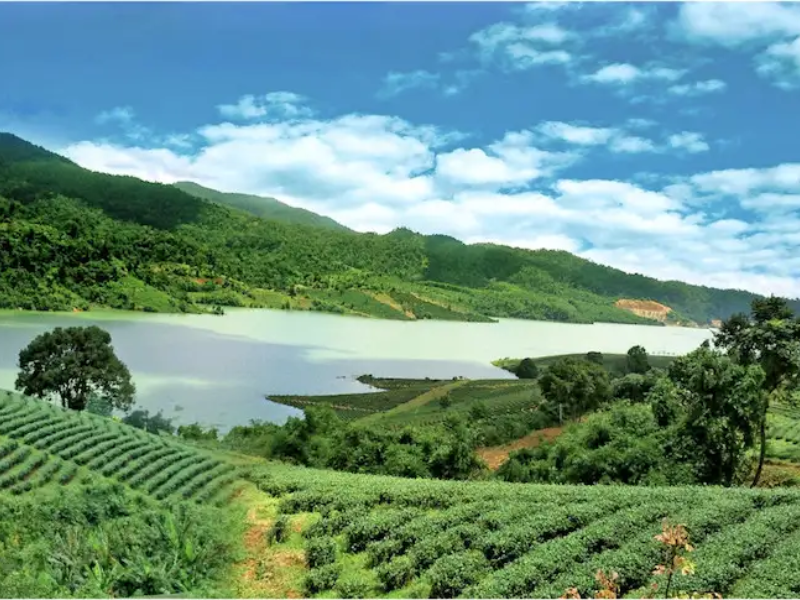 Tour Lâm Đồng 4 Ngày 3 Đêm Từ TP.HCM