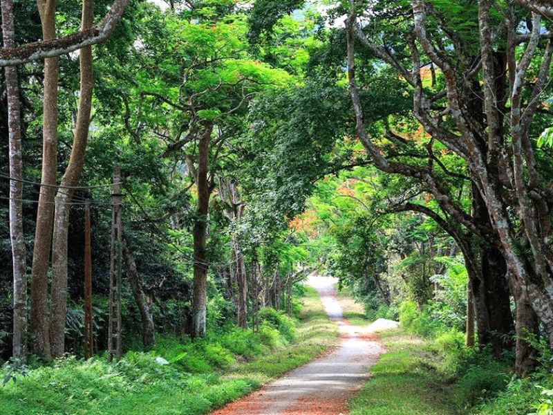 Tour Kiên Giang 4 ngày 3 đêm từ Cần Thơ
