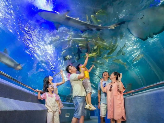 Tour Nha Trang 5 ngày 4 đêm