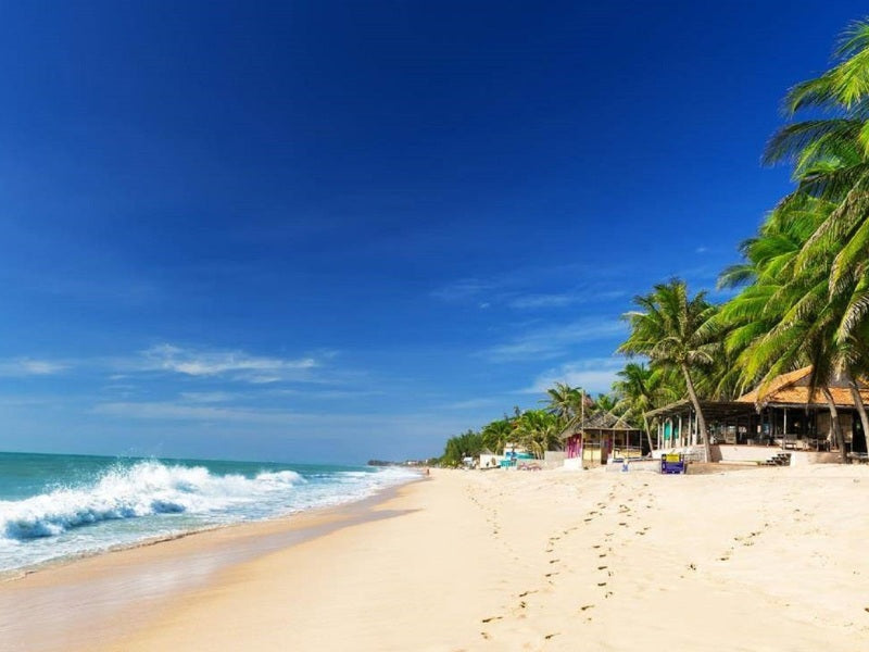 Tour Bình Thuận 3 ngày 2 đêm từ Cần Thơ