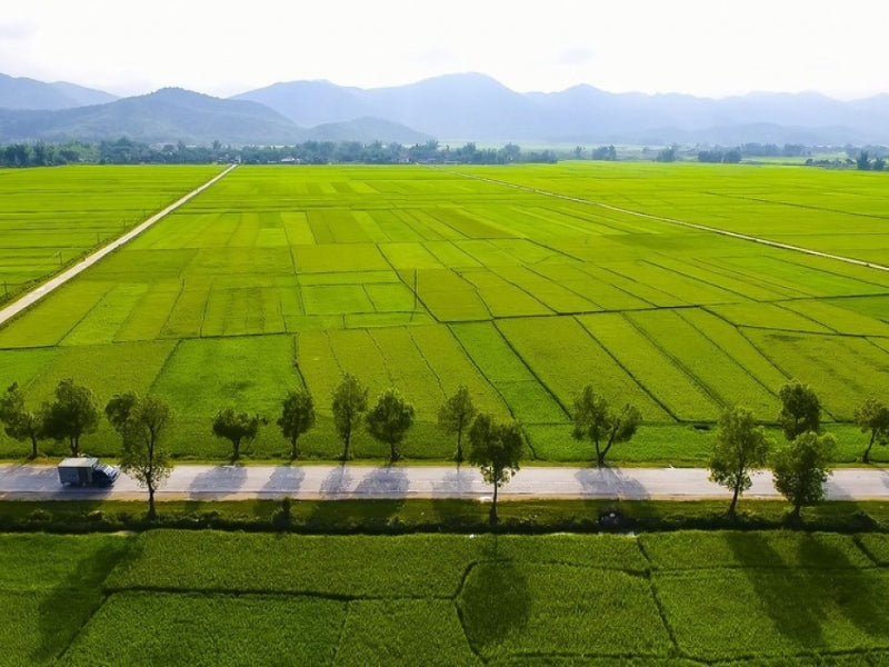 Tour nghỉ lễ 30/4 & 1/5 ở Điện Biên