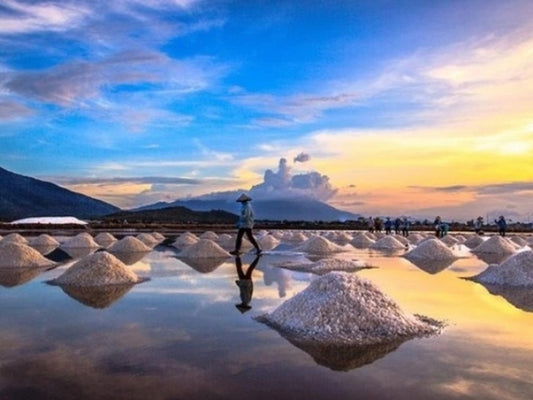 Tour Nam Đinh 2 ngày 1 đêm từ Hà Nội