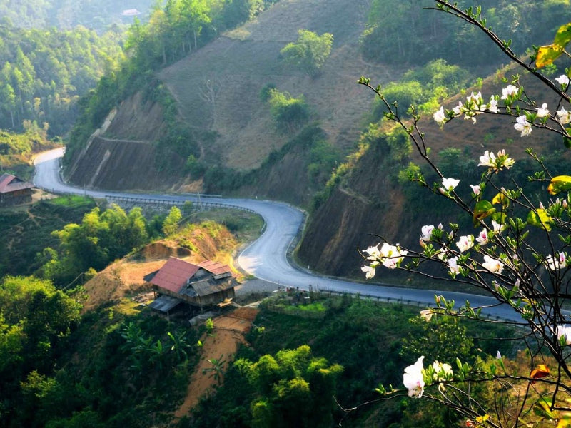 Tour Điện Biên 6 Ngày 5 Đêm từ Cần Thơ