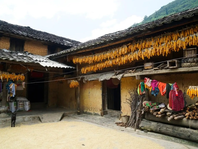Tour Đông Bắc 6 ngày 5 đêm Cần Thơ