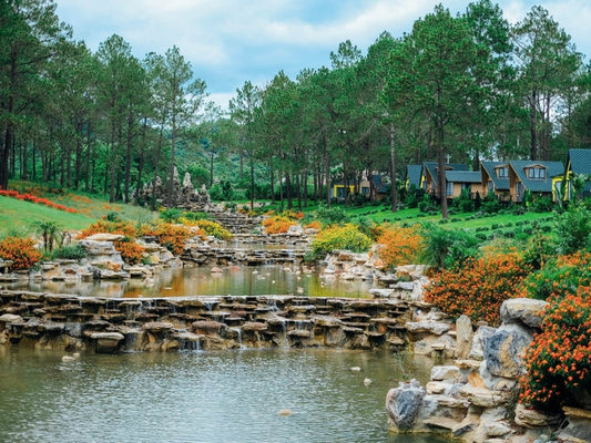 Tour Tết Nguyên Đán 2025 ở Mộc Châu
