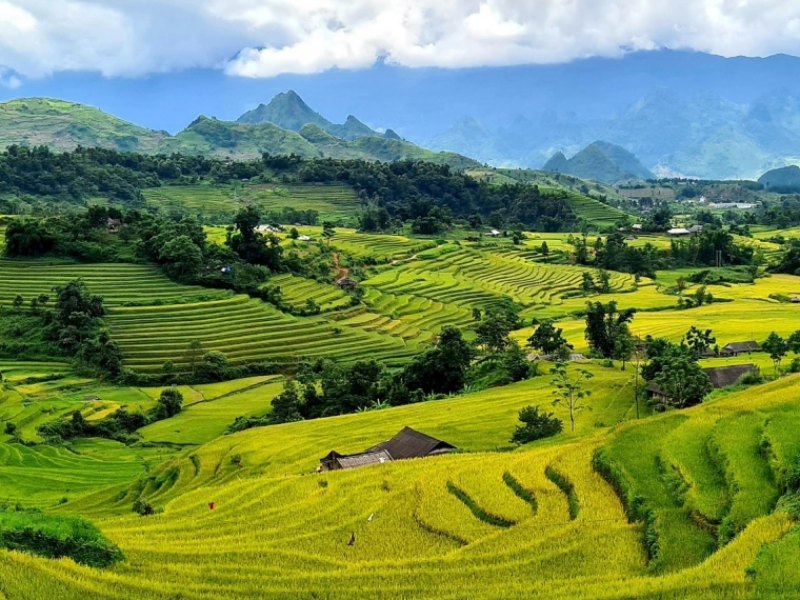 Tour Tết Nguyên Đán 2025 ở Lai Châu