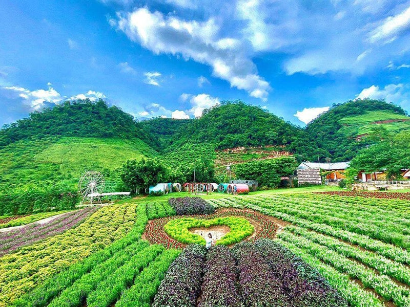 Tour Tết Nguyên Đán ở Tây Bắc