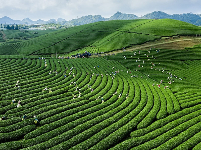 Tour Mai Châu 4 ngày 3 đêm