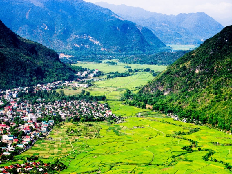Tour Mộc Châu 6 ngày 5 đêm
