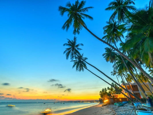 Tour Phan Thiết 3 ngày 2 đêm từ TP.HCM