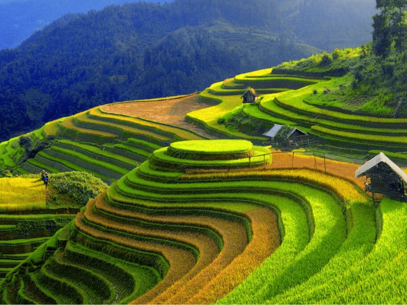 Tour nghỉ lễ 30/4 & 1/5 ở Yên Bái