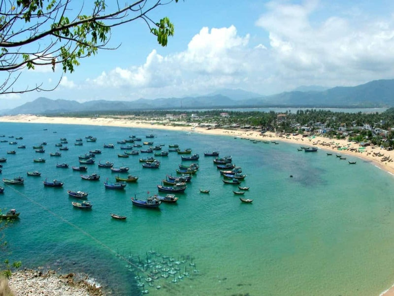 Tour Phú Yên 4 ngày 3 đêm từ TP.HCM