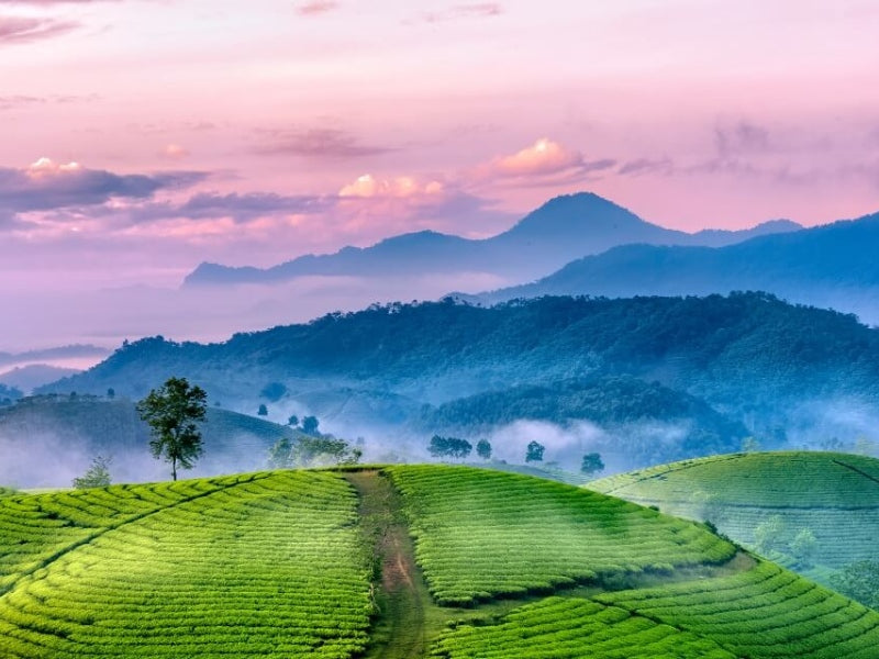 Tour Lai Châu 3 Ngày 2 Đêm