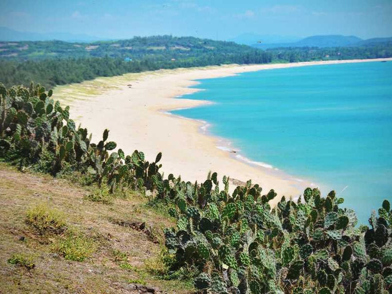 Tour Phú Yên 1 ngày