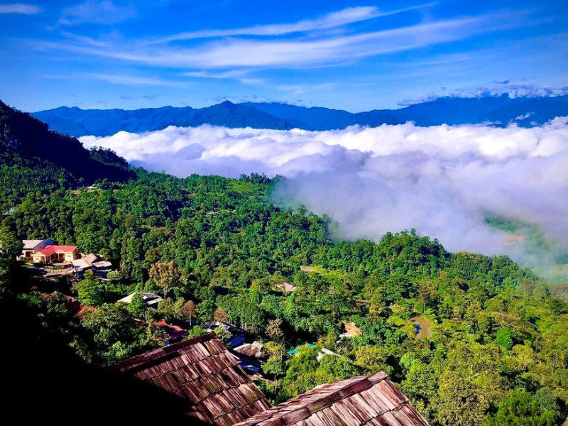 Tour Tết Dương Lịch ở Yên Bái