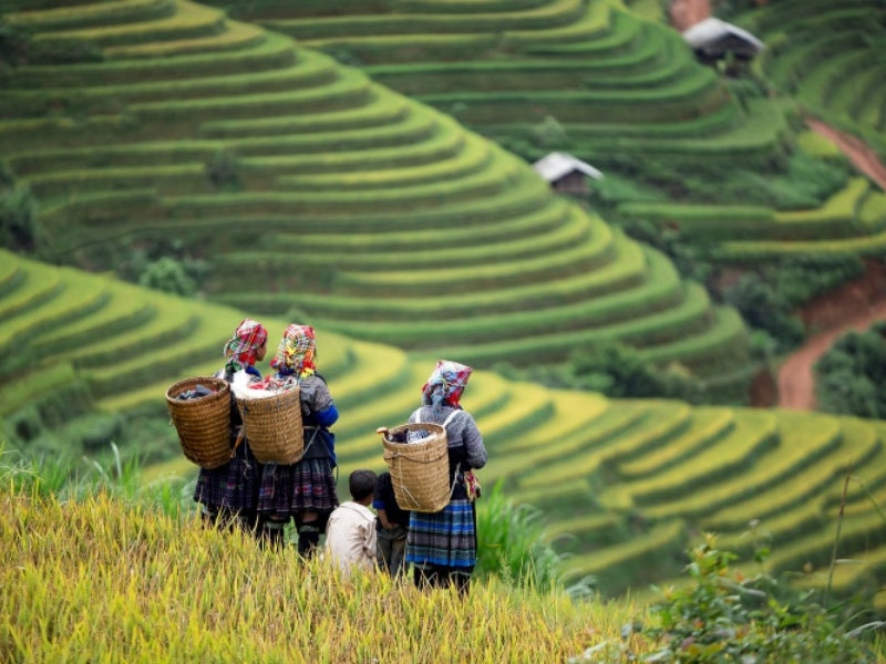 Tour Mai Châu 4 ngày 3 đêm từ TP.HCM