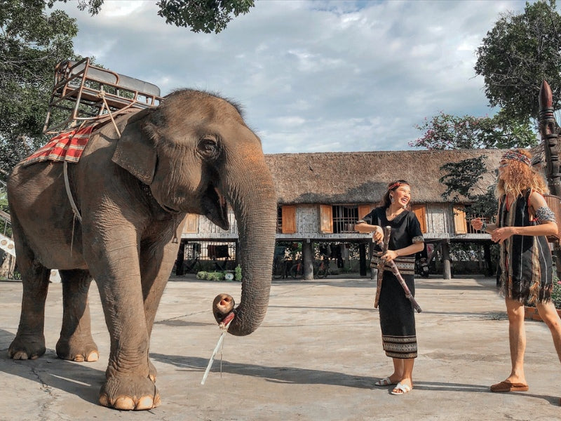 Tour Tây Nguyên 4 ngày 3 đêm từ TP.HCM