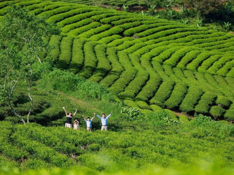 Tour Lâm Đồng 1 Ngày