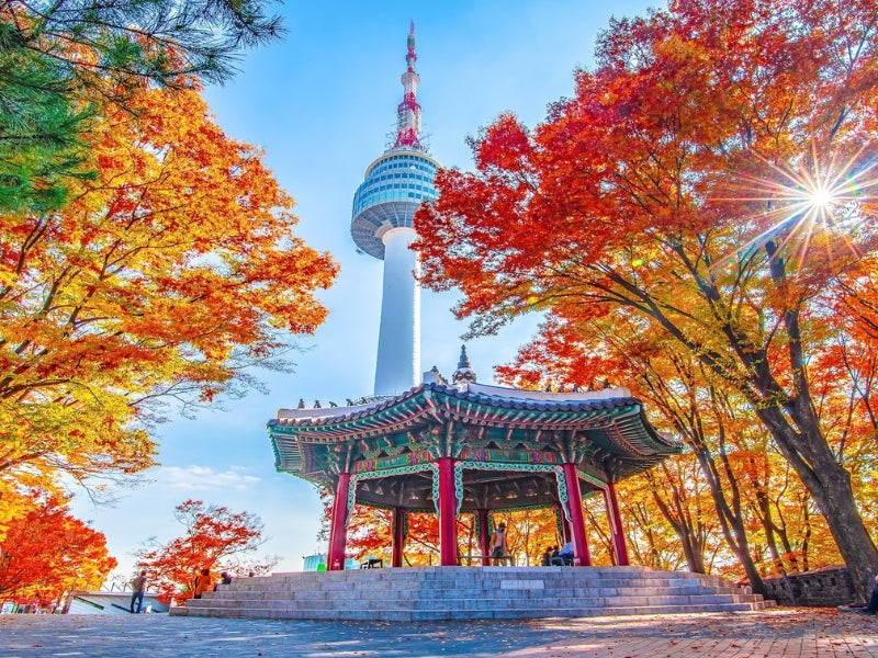 Tour Hàn Quốc 5 ngày 4 đêm