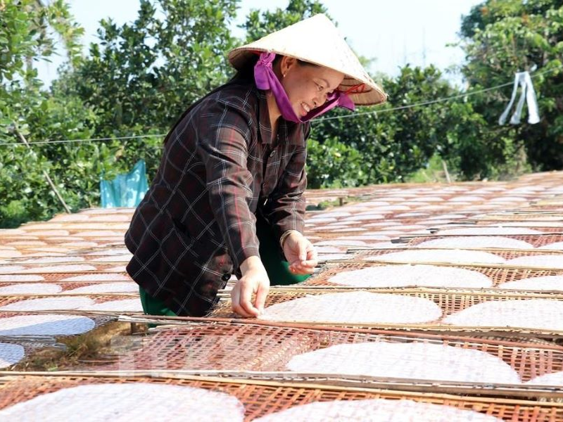 Tour Bến Tre 2 ngày 1 đêm từ TP.HCM