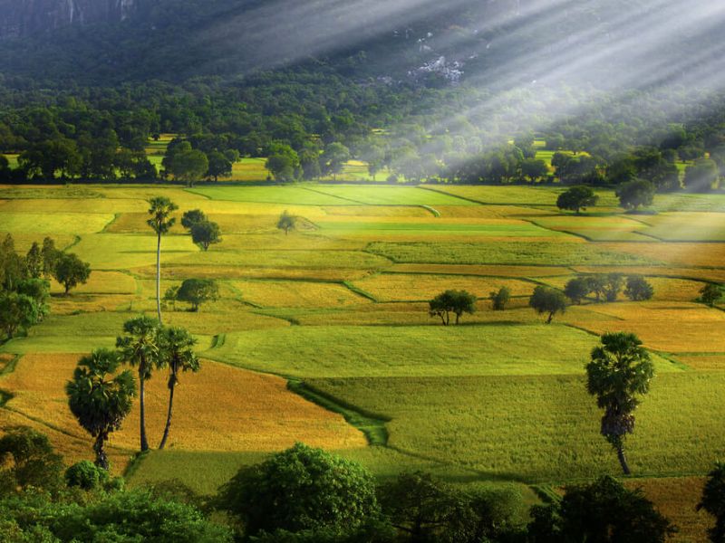 Tour An Giang 3 ngày 2 đêm