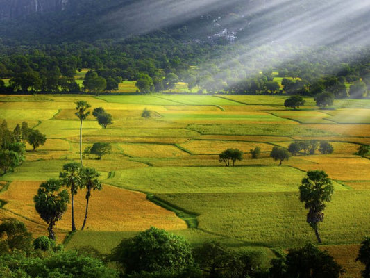 Tour An Giang 3 ngày 2 đêm