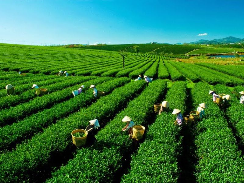 Tour nghỉ lễ 30/4 & 1/5 ở Thái Nguyên
