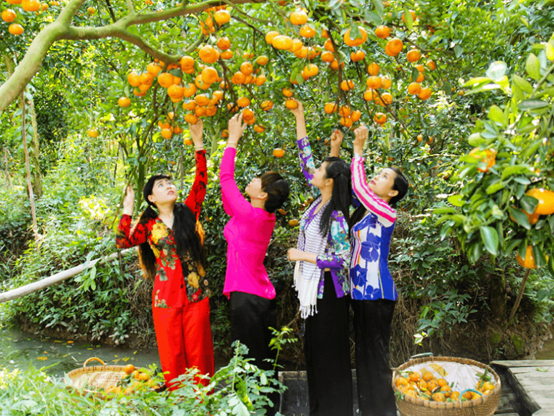 Tour Bến Tre 1 ngày từ TP.HCM