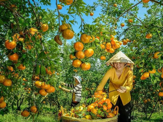 Tour Miền Tây 4 ngày 3 đêm từ Hà Nội