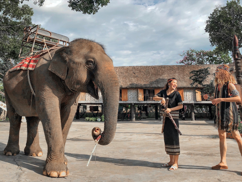 Tour Gia Lai 3 ngày 2 đêm từ Hà Nội