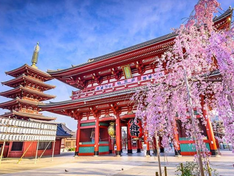 Tour Nhật Bản 6 ngày 5 đêm