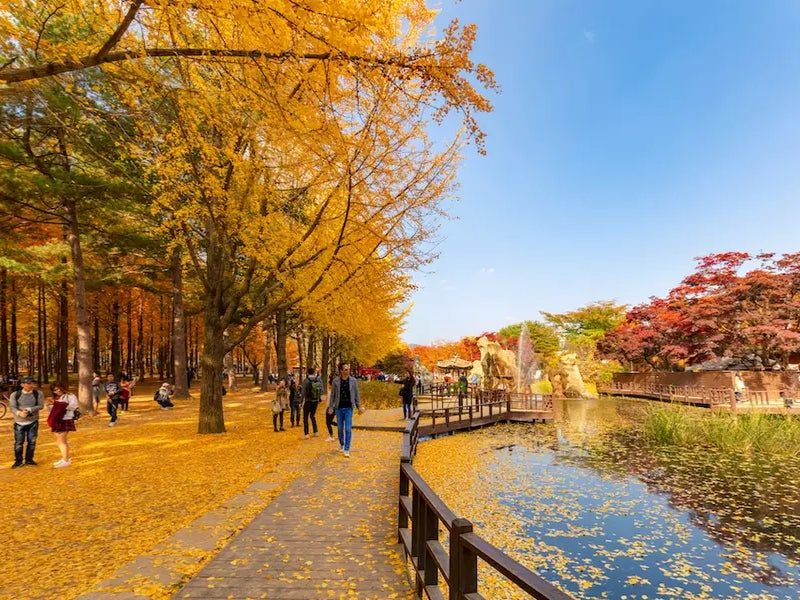 Tour Hàn Quốc 5 ngày 4 đêm từ TP.HCM