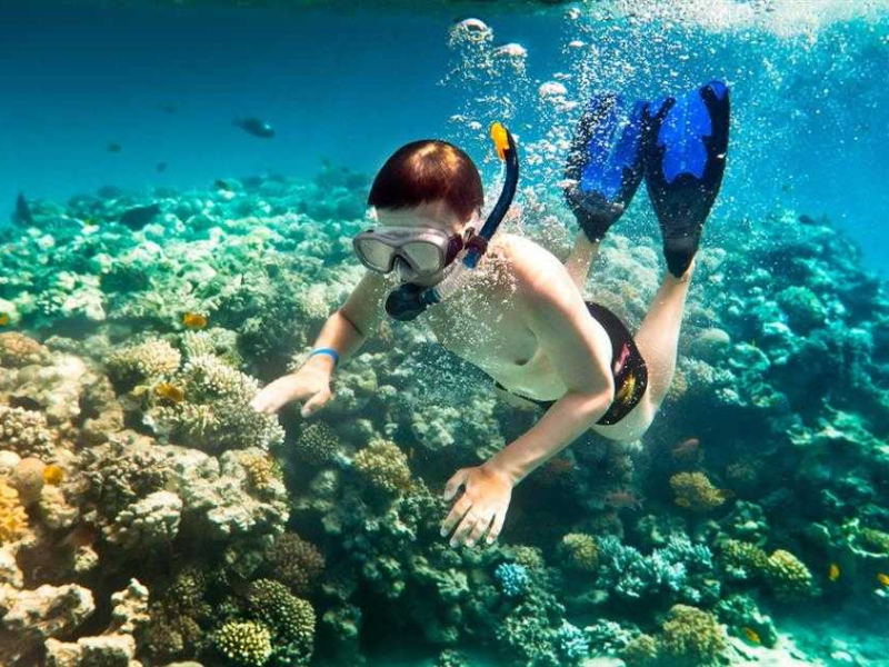 Tour Côn Đảo 2 ngày 1 đêm TP.HCM