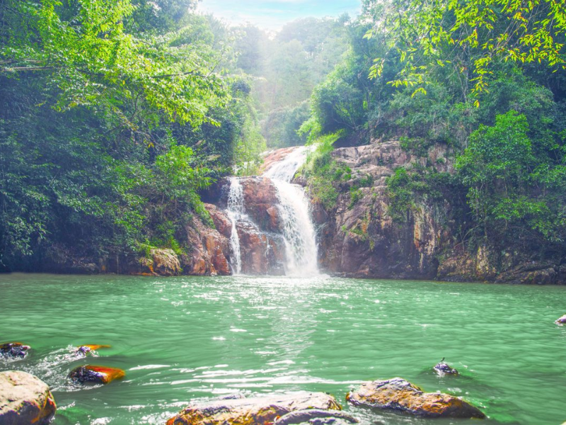 Tour Lâm Đồng 4 ngày 3 đêm từ Hà Nội