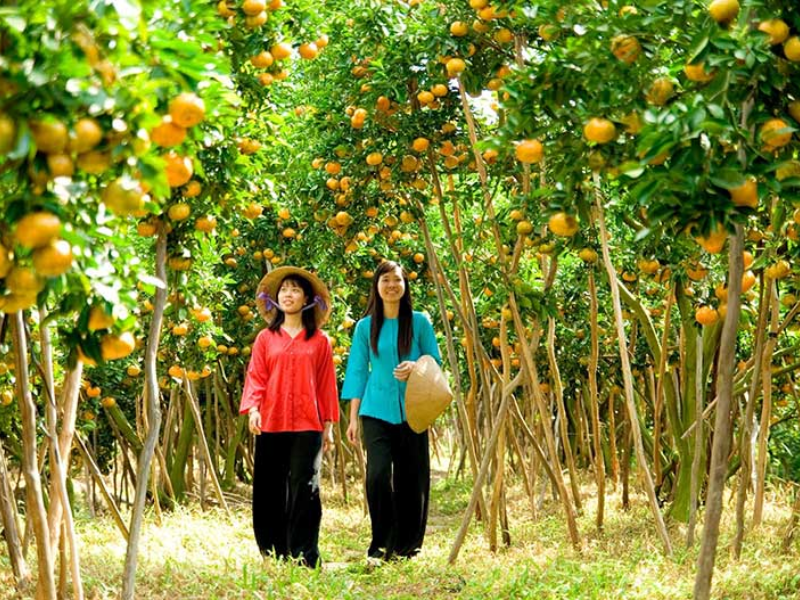 Tour Bến Tre 2 ngày 1 đêm từ TP.HCM