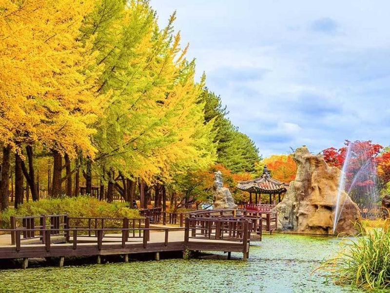 Tour Hàn Quốc 6 ngày 5 đêm từ TP.HCM