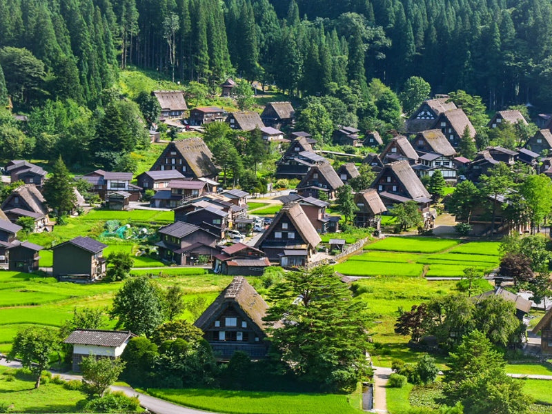 Tour Nhật Bản 6 ngày 5 đêm từ Đà Nẵng