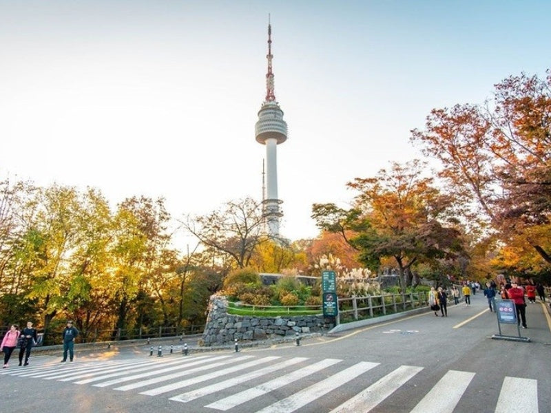 Tour nghỉ lễ 30/4 & 1/5 ở Hàn Quốc