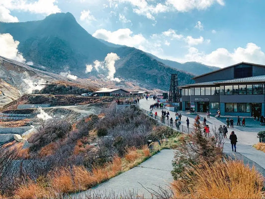 Tour Nhật Bản 5 ngày 4 đêm từ TP.HCM