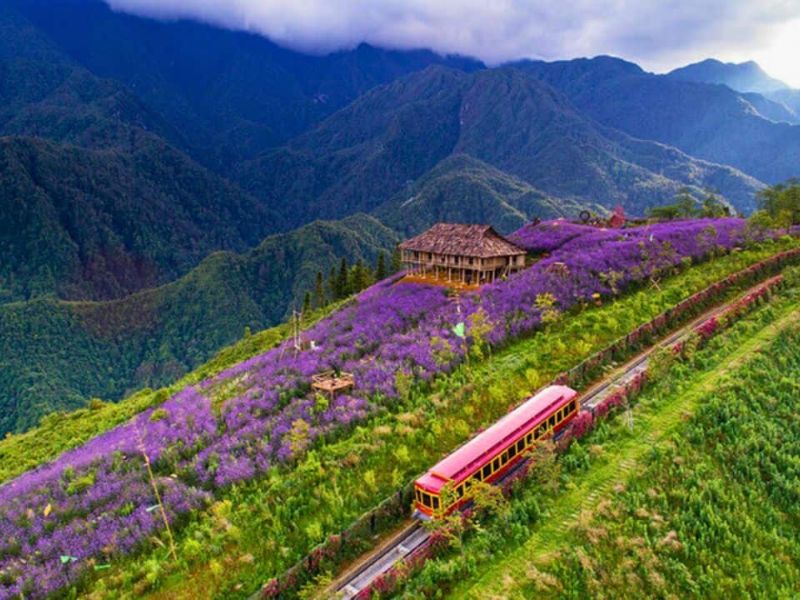 Tour Lào Cai 4 ngày 3 đêm từ Hà Nội