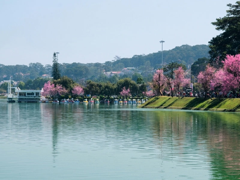 Tour Đà Lạt 5 ngày 4 đêm từ TP.HCM