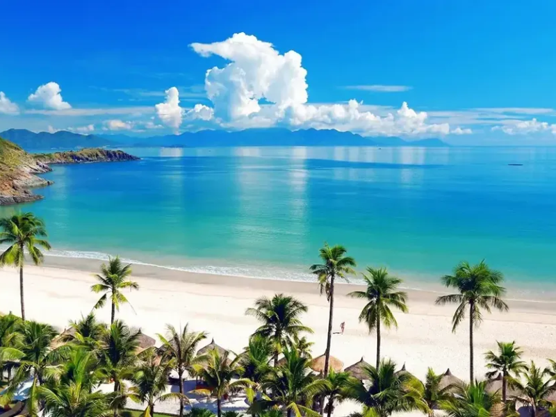 Tour Quảng Ngãi 2 Ngày 3 Đêm Từ TP.HCM