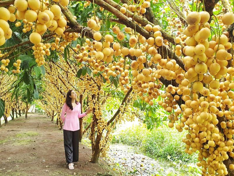 Tour Miền Tây 3 ngày 2 đêm
