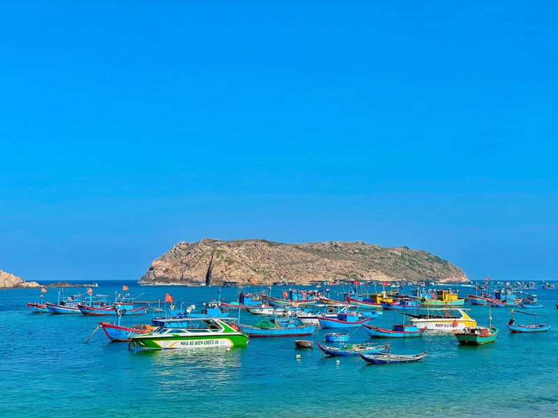 Tour Bình Định 3 ngày 2 đêm từ TP.HCM
