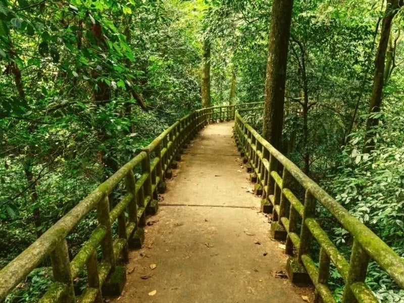 Tour nghỉ lễ 30/4 & 1/5 Ninh Bình
